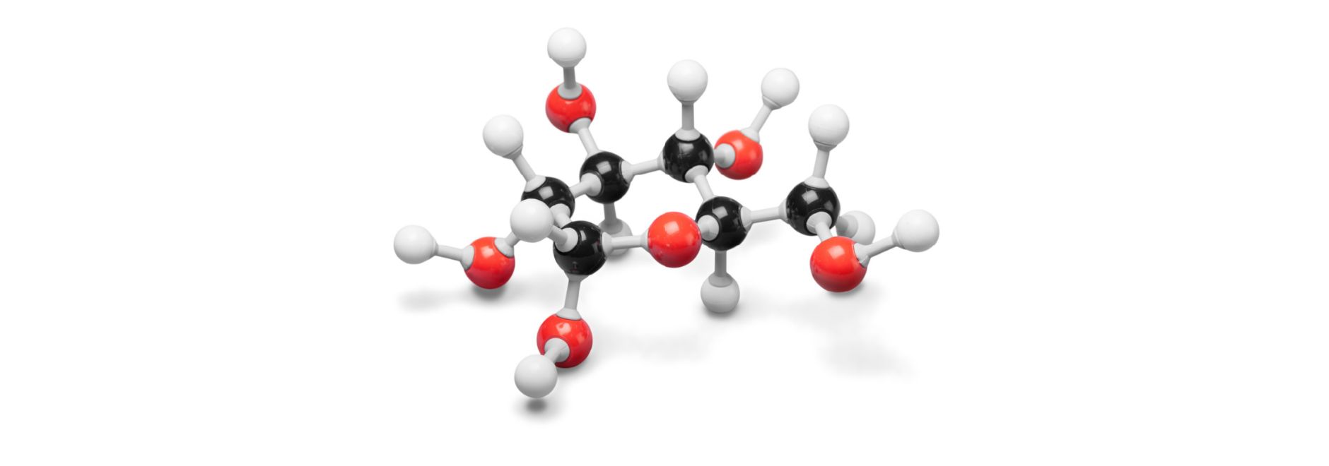 Curso de Genética Aplicada a las Terapias Hormonales