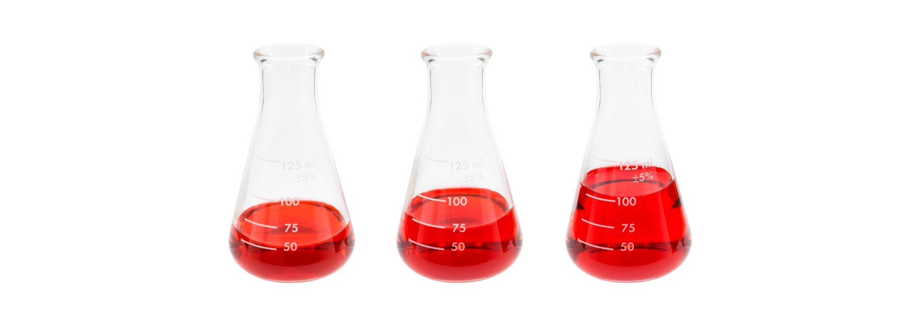 Curso de técnicas en biología molecular: claves para mejorar en el laboratorio