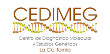 Logo empresa