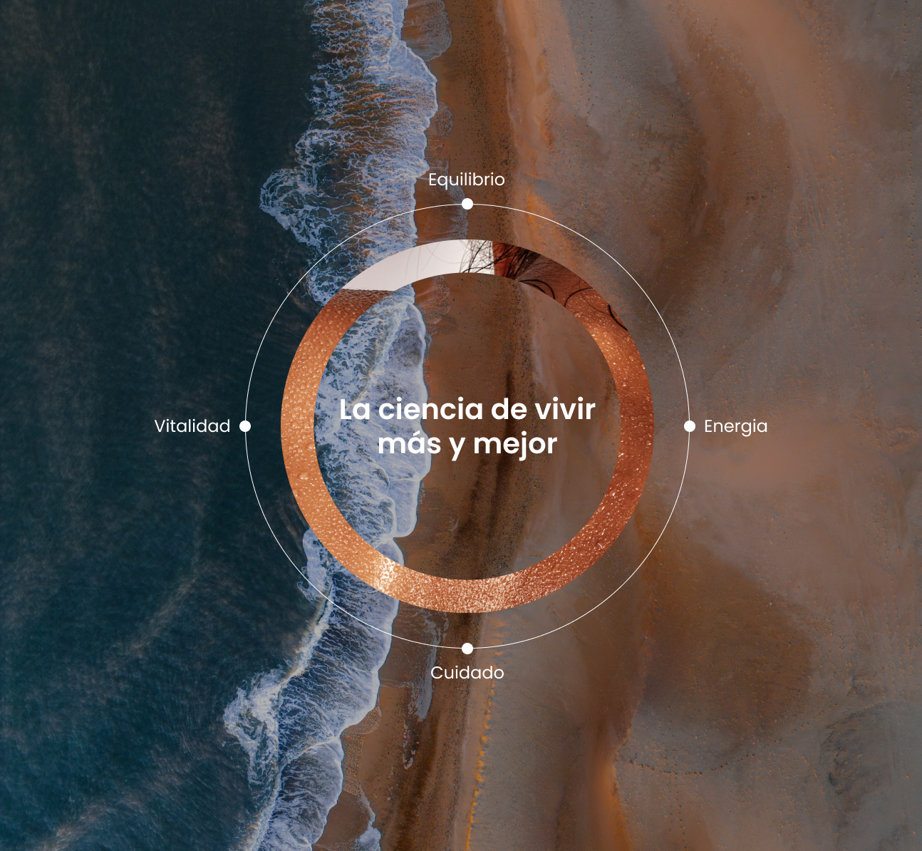 La ciencia de vivir más y mejor